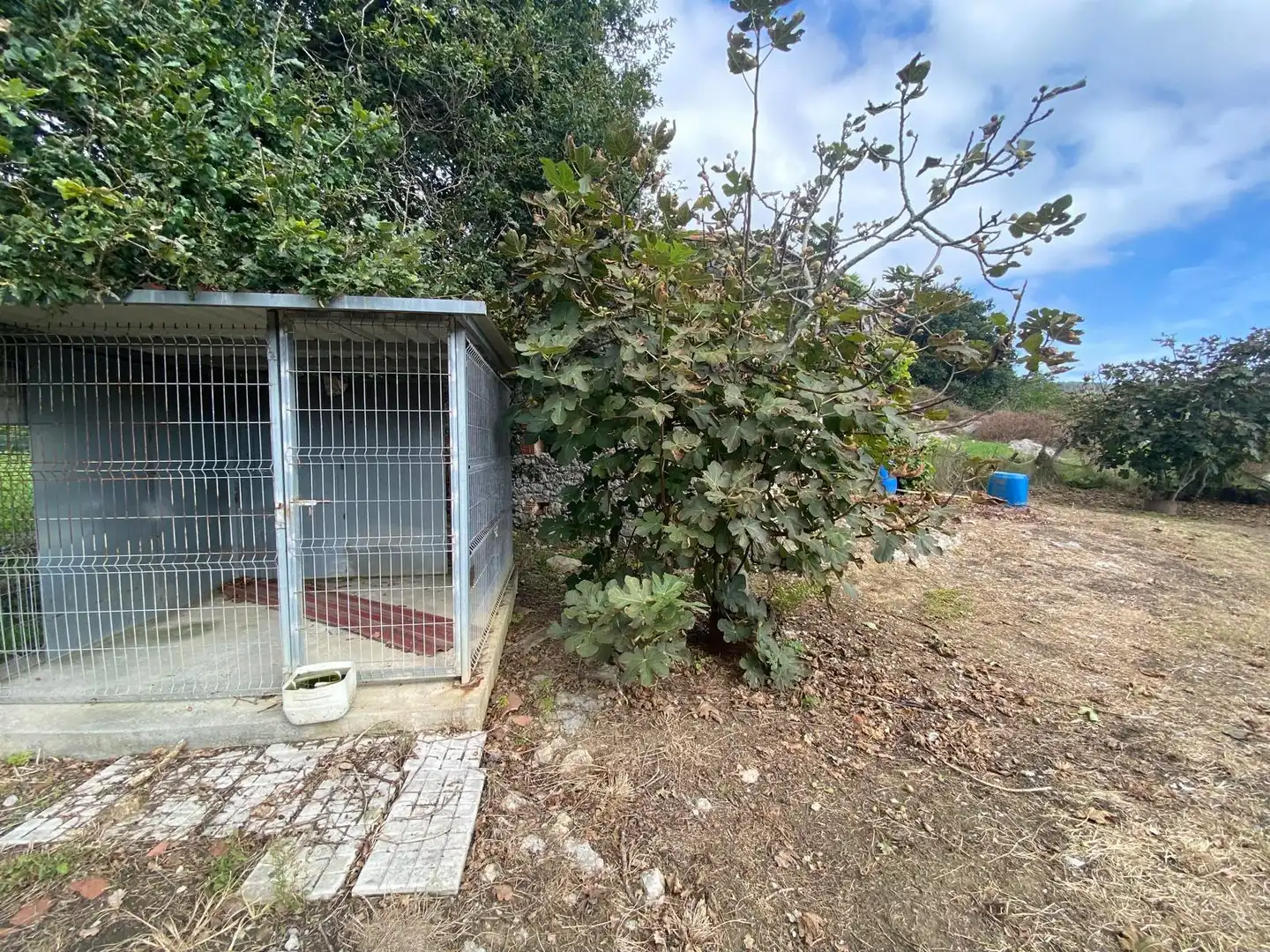 Finca rústica en venta en Argoños