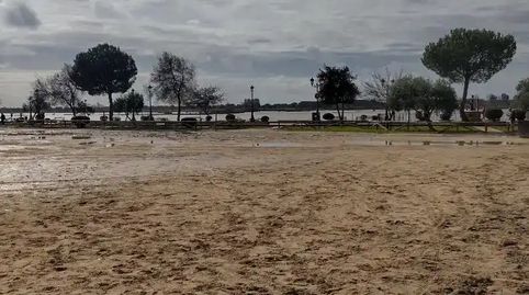 Foto 4 de Estudi en venda a Calle Los Varales, 57, El Rocío, Almonte