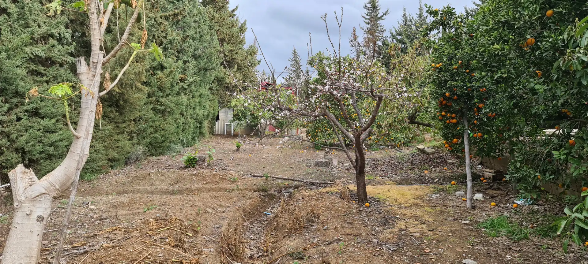 Finca rústica en venda en Mijas amb Aire condicionat, Calefacció i Jardí privat