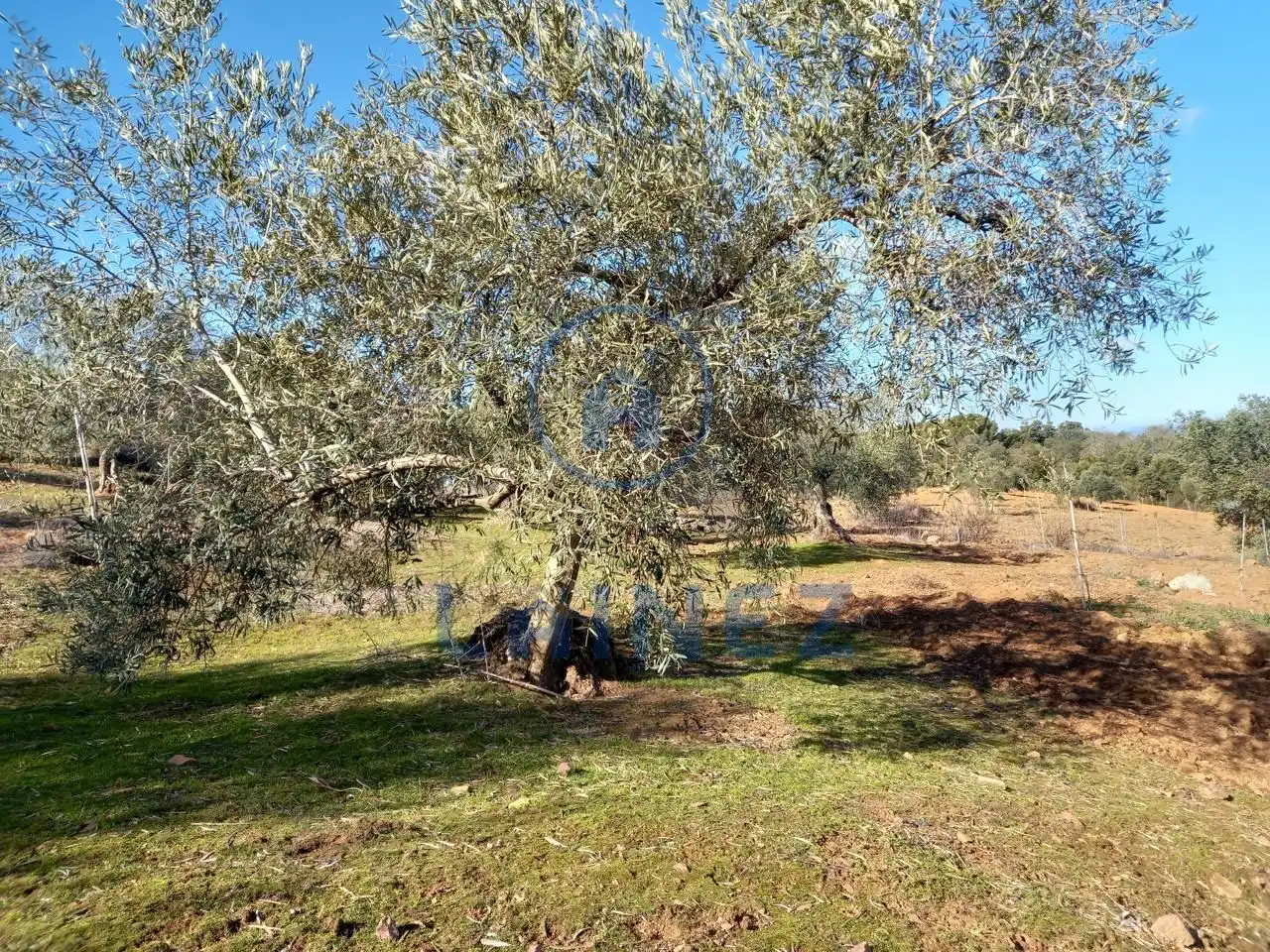 Terreno residenziale in vendita a Villanueva del Rey, imagen 46