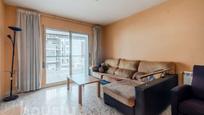 Living room of Flat for sale in Amposta  with Terrace