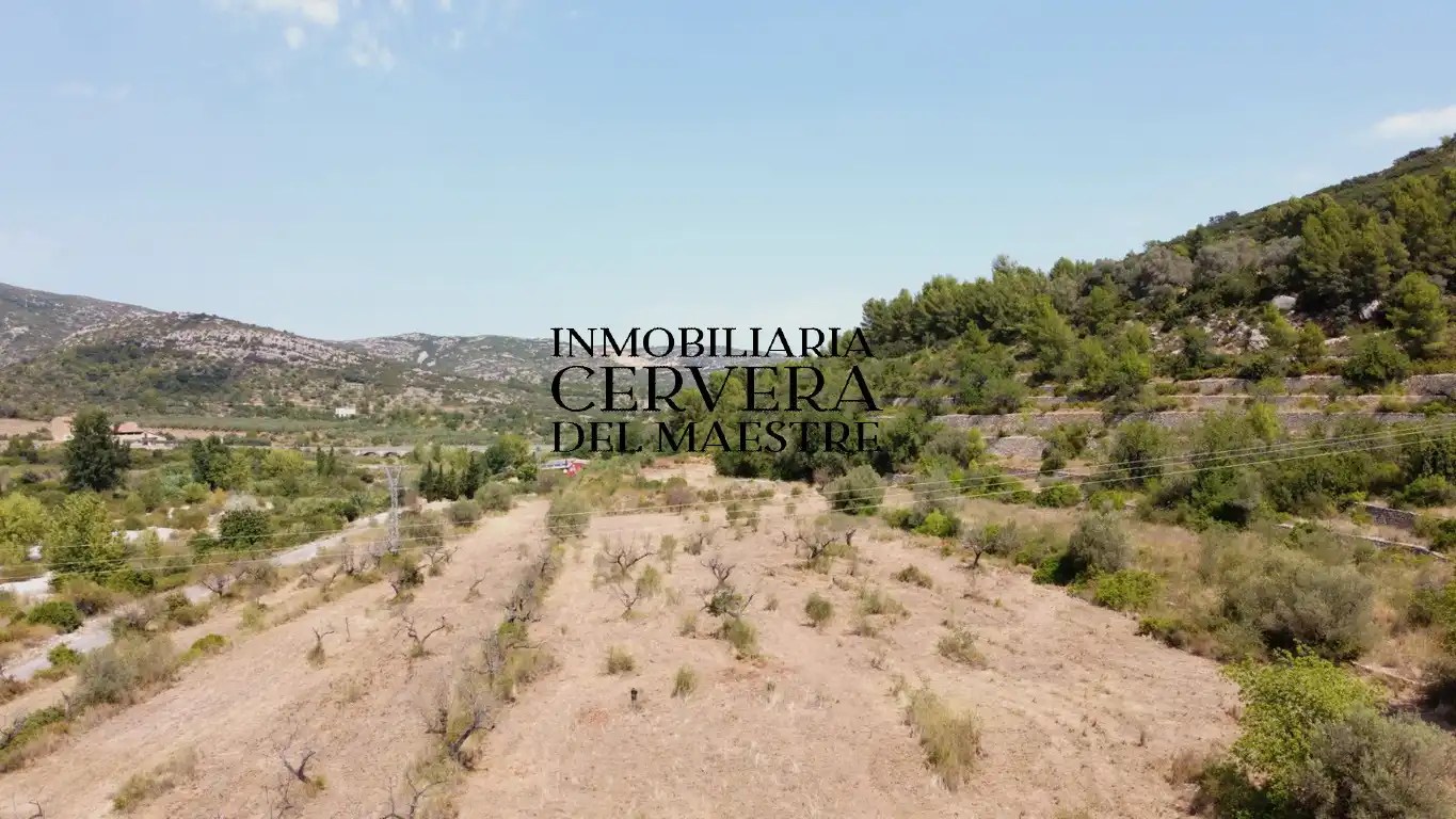 Terreno rustico in vendita a Cervera del Maestre, imagen 6
