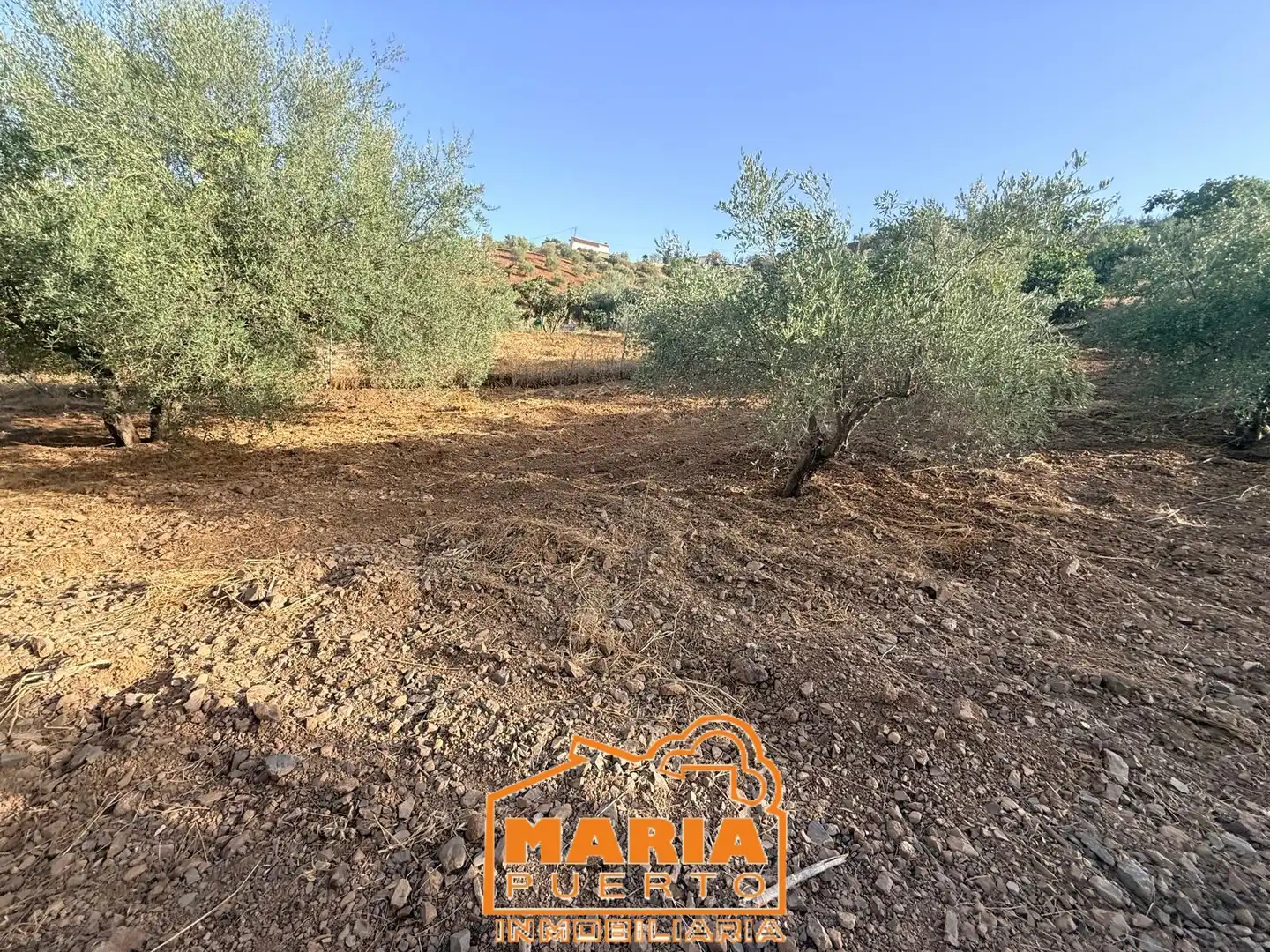 Terreno rustico in vendita a Almogía, imagen 27