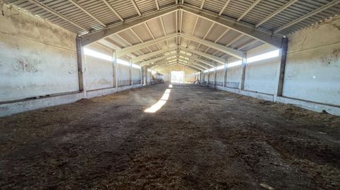 NAVE PARA DIVERSAS UTILIDADES EN PRIEGO CUENCA, imagen 4