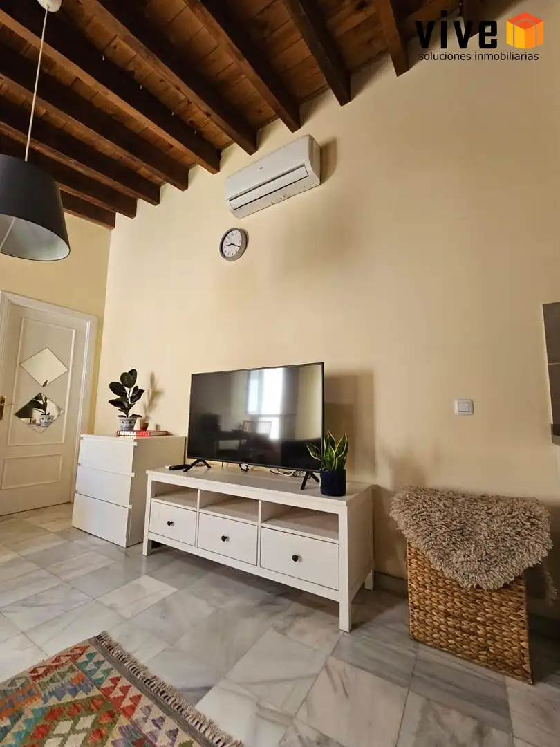Sala de estar de Ático de alquiler en Sevilla con Aire acondicionado, Terraza y Amueblado