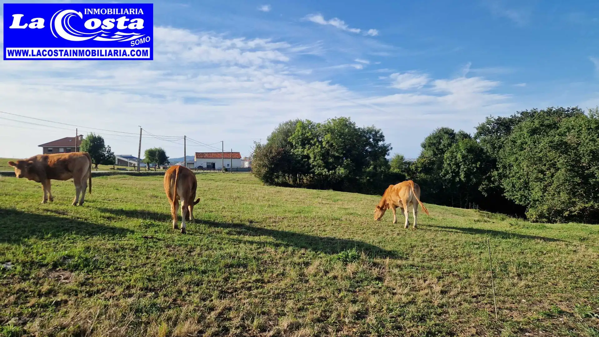 Residential land for sale in Barrio el Sel, imagen 4