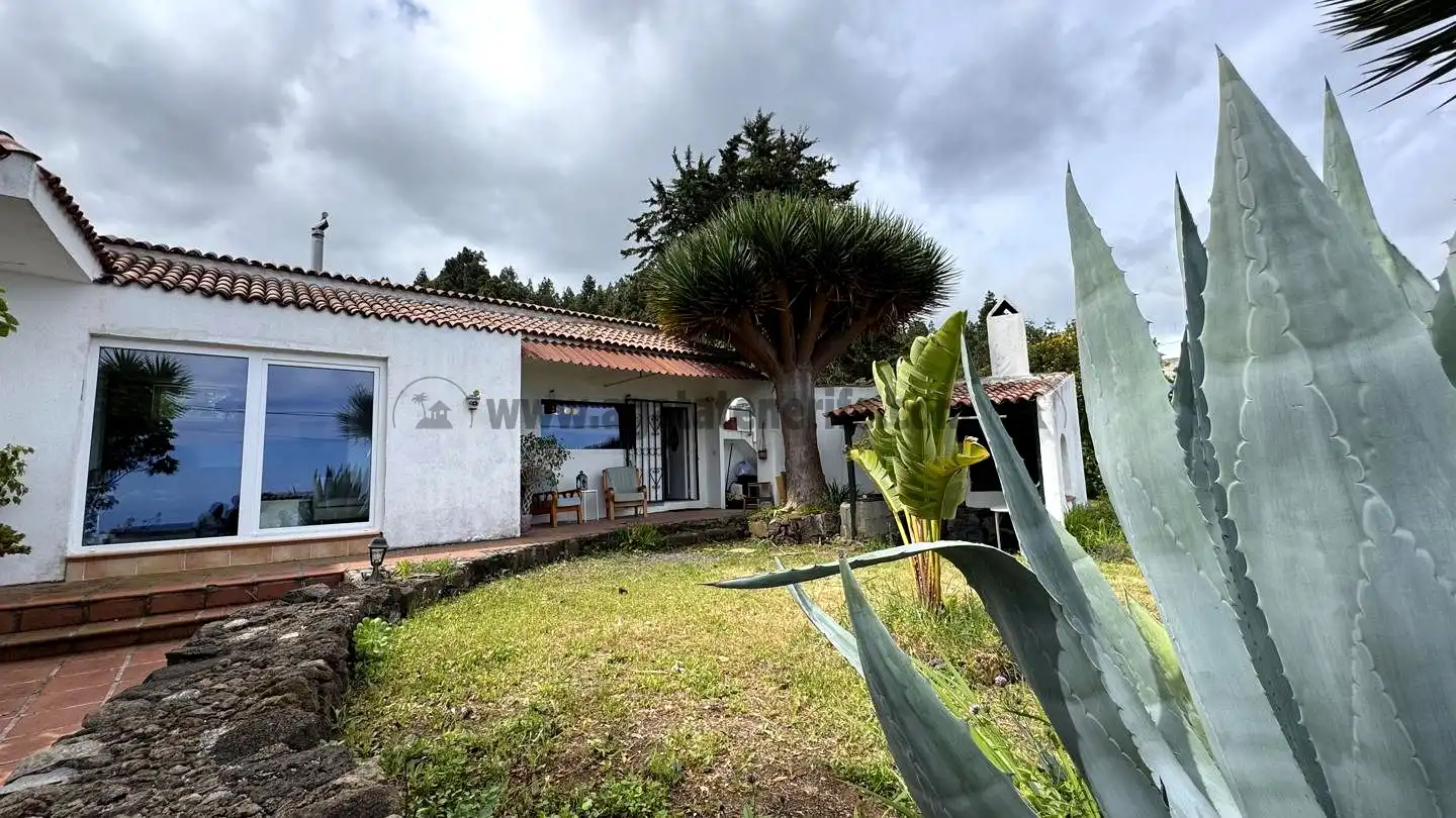 Vista exterior de Finca rústica en venta en Icod de los Vinos con Piscina