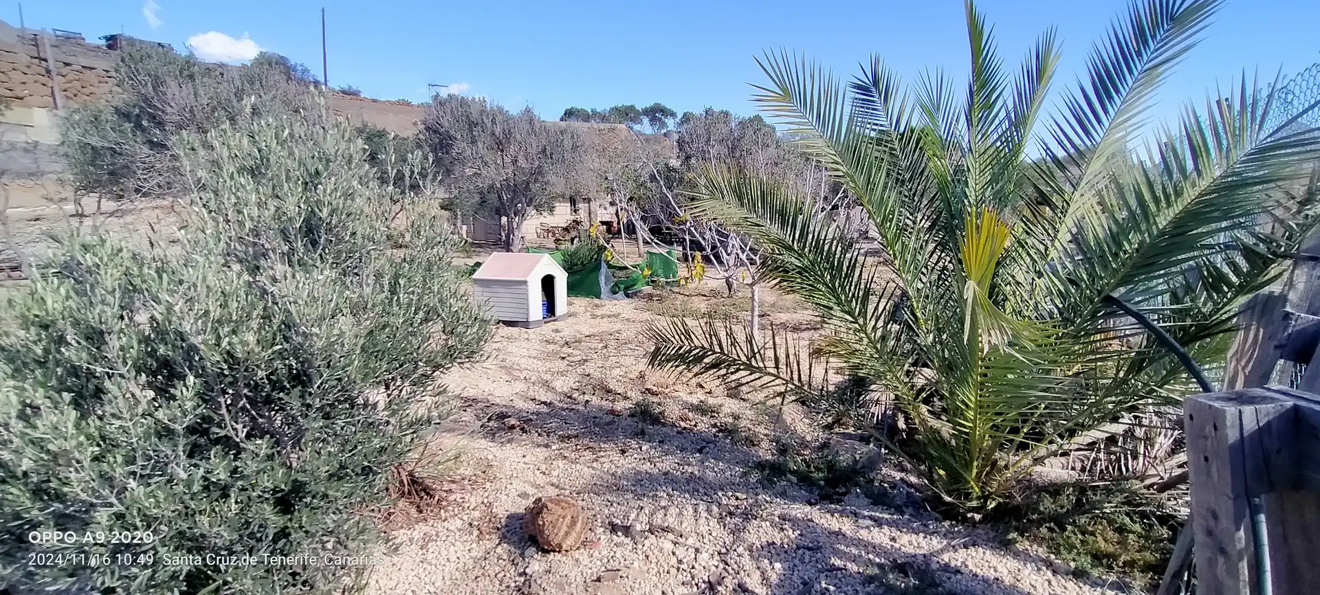 Terreno en venta en Arico