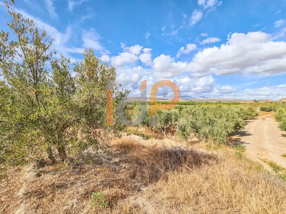 Terrenys i solars en venda a Huércal-Overa, imagen 7