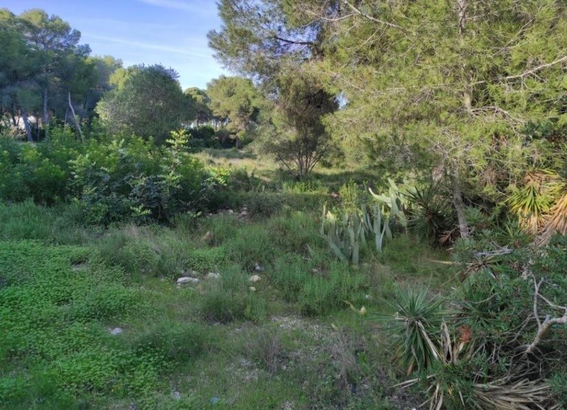 Country house for sale in Centro Urbano