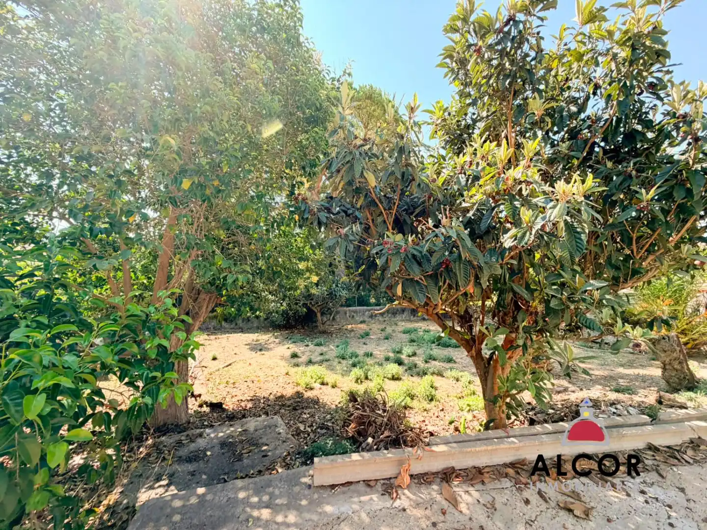 Lands and plots for sale in Alcalà de Xivert pueblo, imagen 4