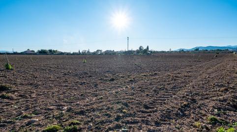 Photo 5 of Residential for sale in Diseminado Poligono 9, 394, Es Blanquer, Illes Balears