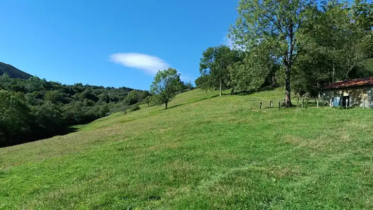 Terreno rustico in vendita a Proaza, imagen 55