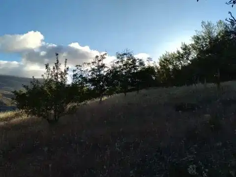 Terreni e lotti in vendita a la fuente de la higuera 22, imagen 3
