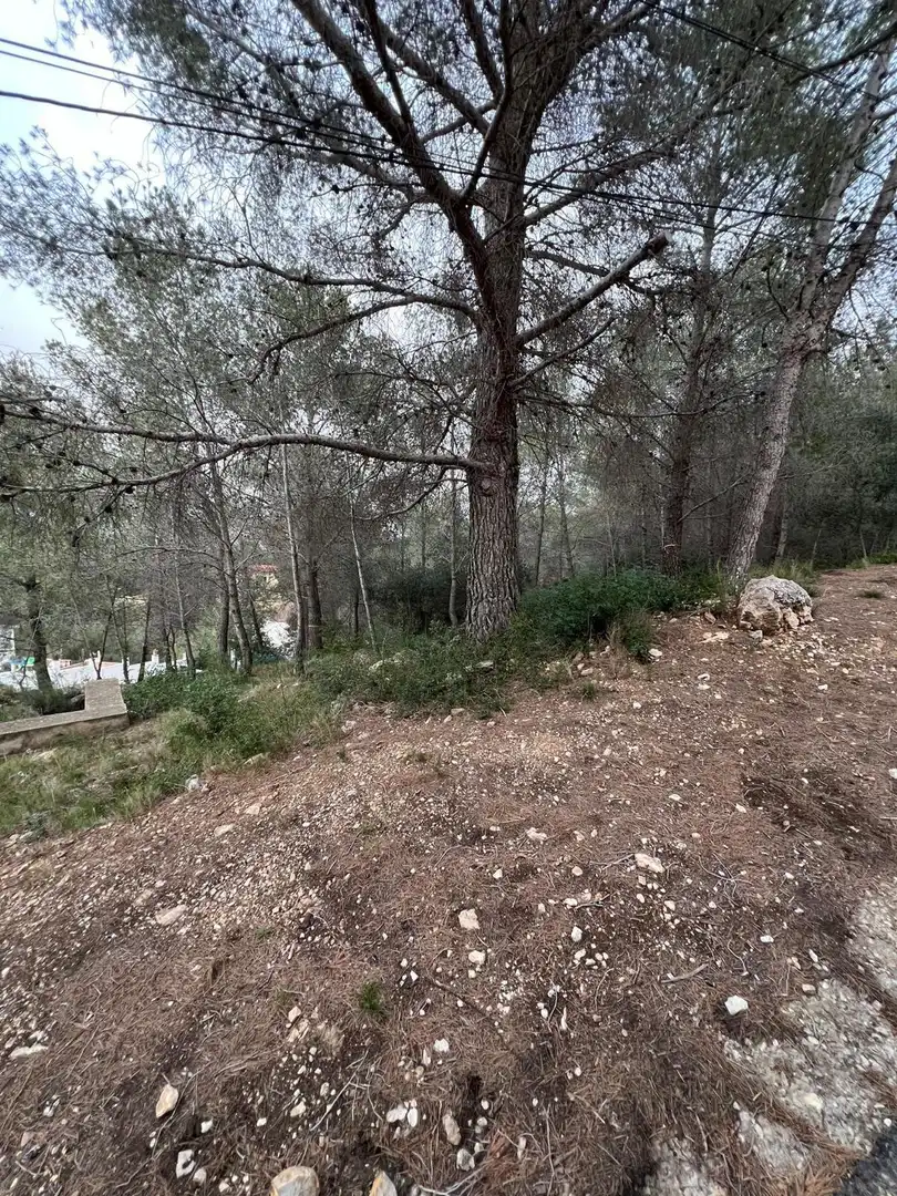 Residential land for sale in Avenida de Can Gordei 113, imagen 13
