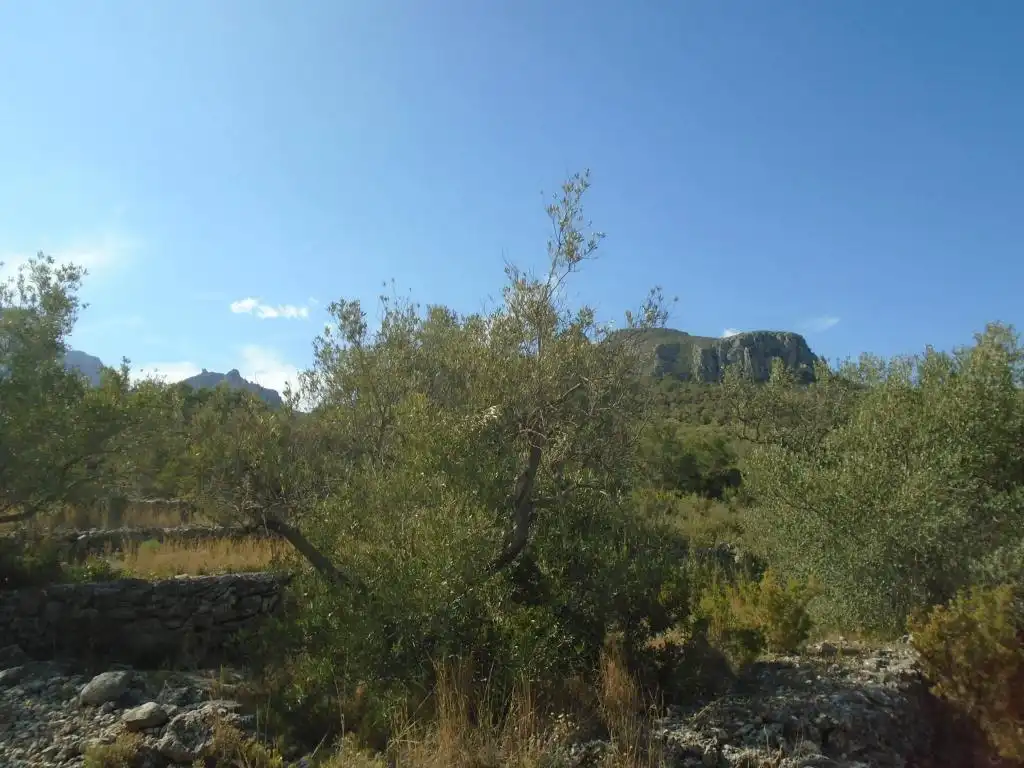 Residential land for sale in Vall D'En Pasto, imagen 8