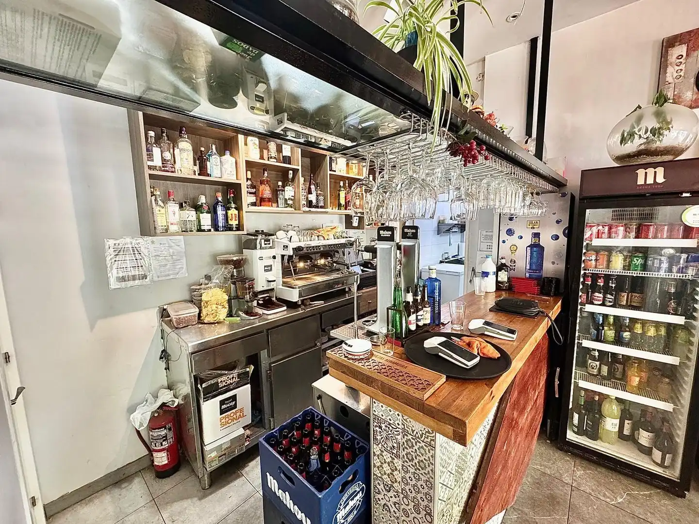 Local commercial à louer à Avenida Avenida Vicente Ferrer, imagen 10