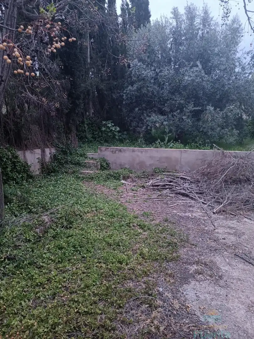 Casa o xalet en venda en Totana