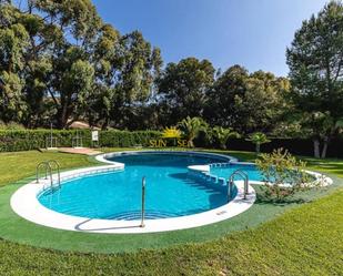 Piscina de Casa o xalet de lloguer en Guardamar del Segura amb Aire condicionat, Calefacció i Terrassa