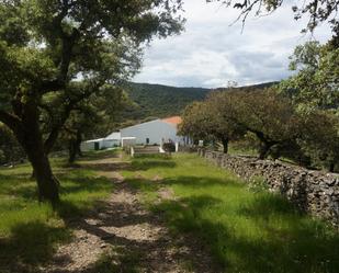 Exterior view of Land for sale in  Sevilla Capital