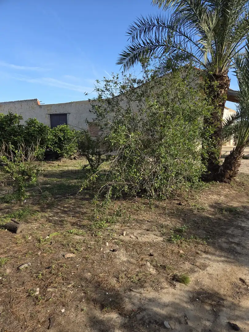 Terreno industrial en venta en Albatera
