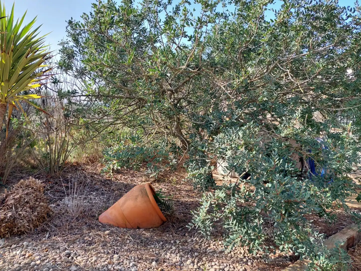 Country homes for sale in Murcia  with Air Conditioner, Heating and Private garden