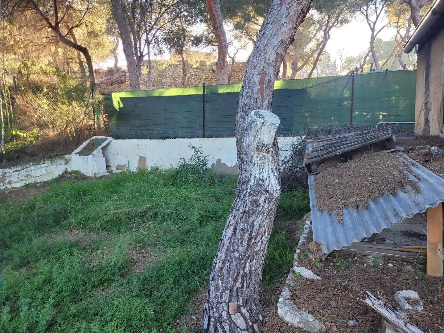 Jardín de Finca rústica en venta en Murcia con Calefacción, Jardín privado y Trastero
