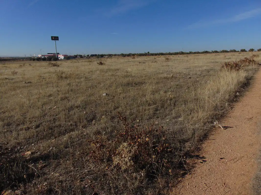 Terreno rustico in vendita a Valdepeñas, imagen 4