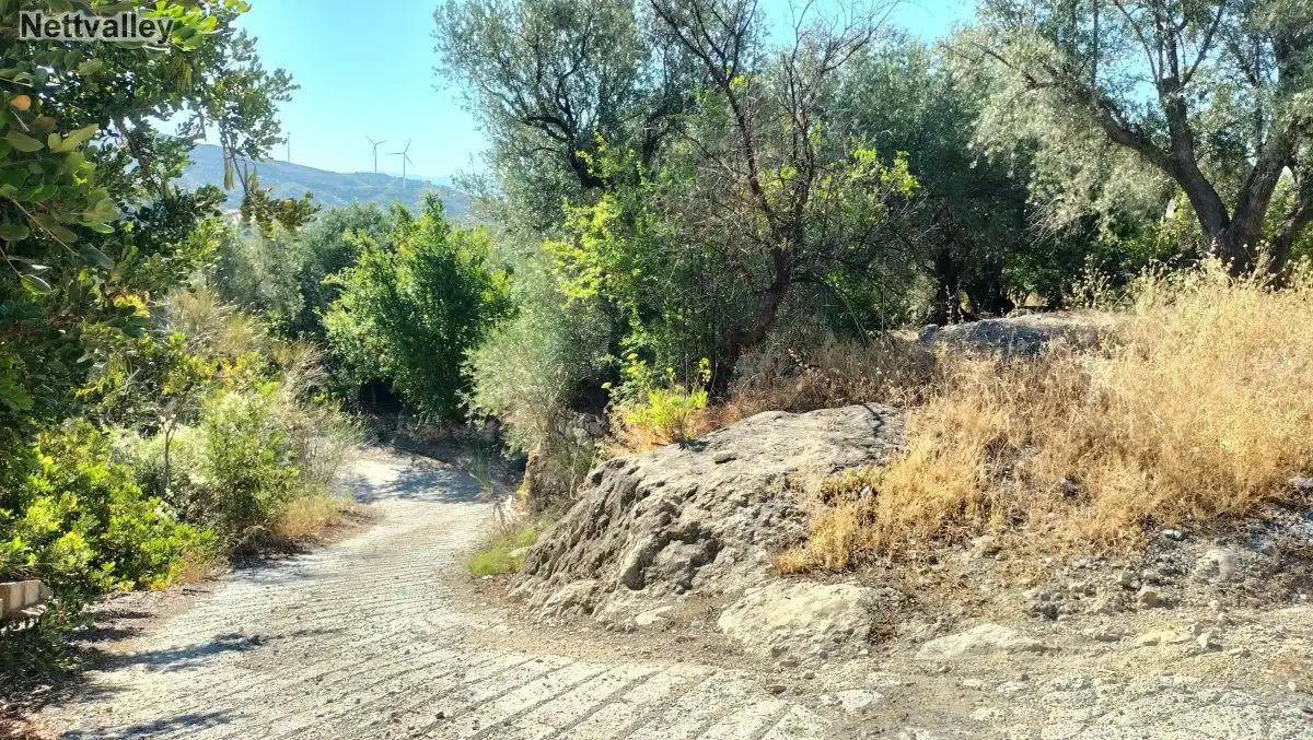 Terreni e lotti in vendita a LOMA DEL MEDIO, imagen 7
