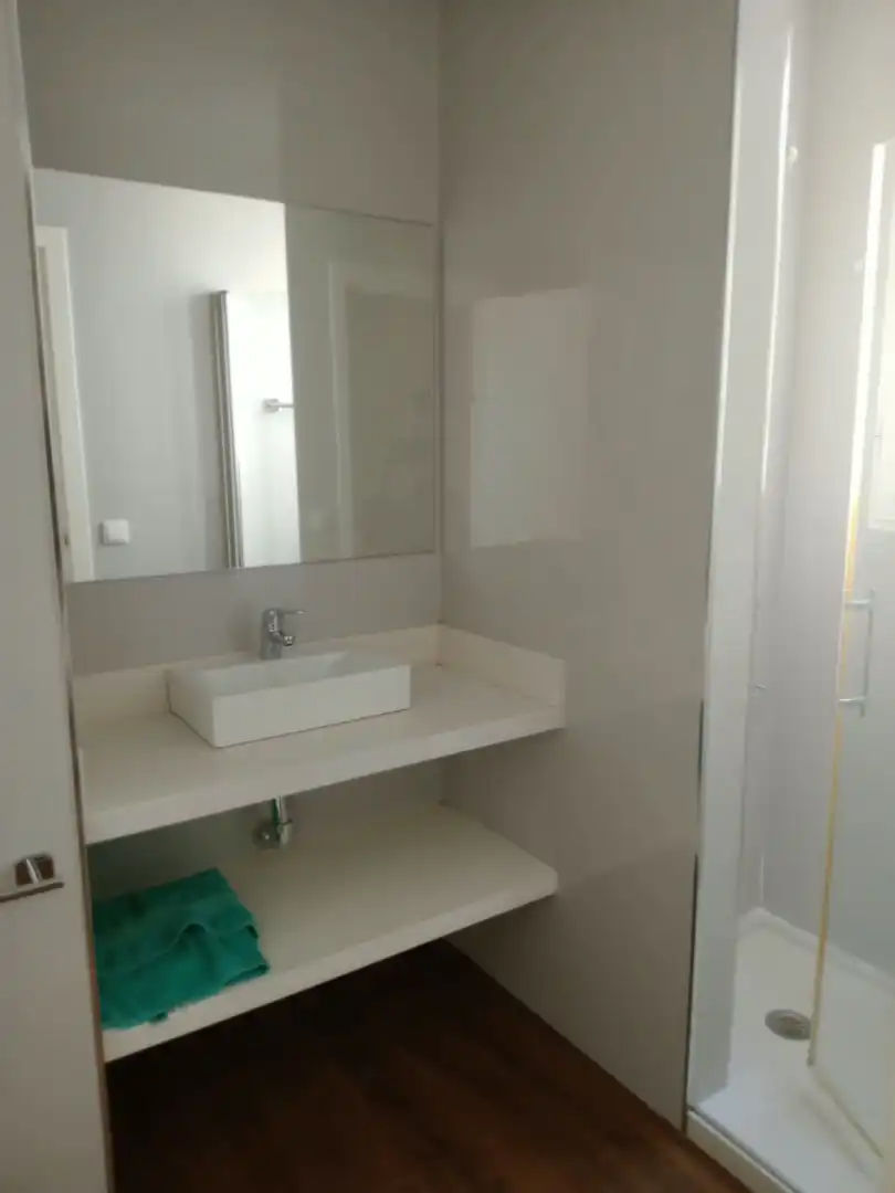 Bathroom of Flat for rent in Centro