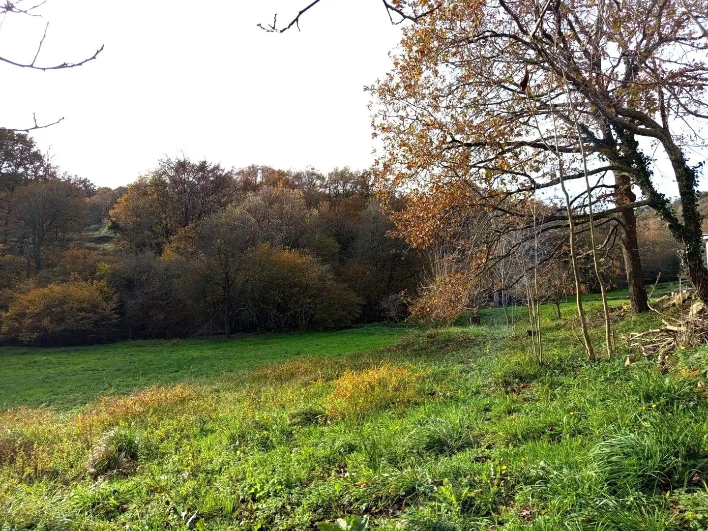 Terrenys i solars en venda a Villafufre, imagen 4