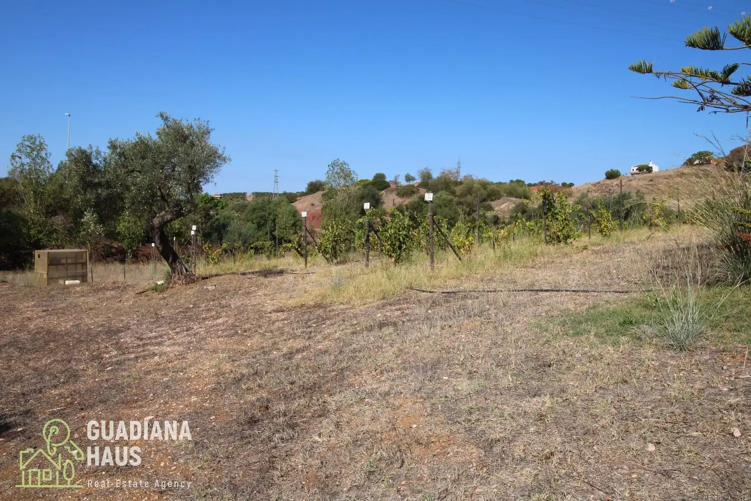 Finca rústica en venda a Vía del V Centenario, 567, Costa Esuri