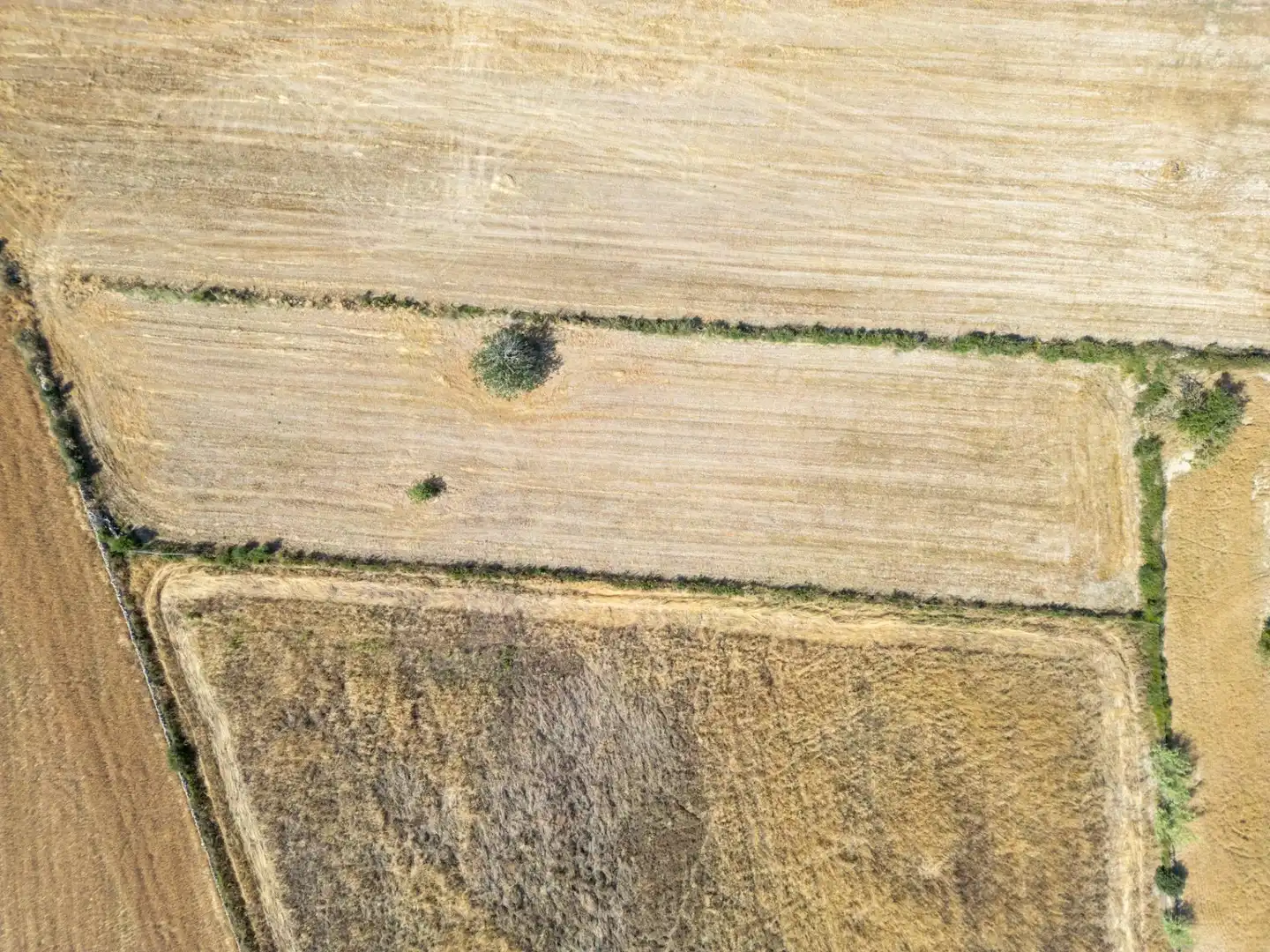 Rustikales Grundstück zum Verkauf in Porreres, imagen 17