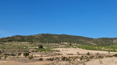 Foto 5 von Residential zum Verkauf in N/a, -1, Yecla, Murcia