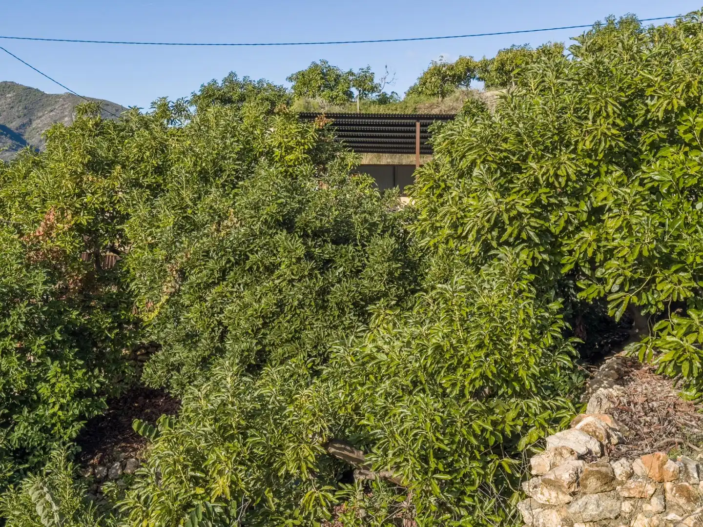 Vista exterior de Finca rústica en venda en Los Guájares amb Terrassa i Traster