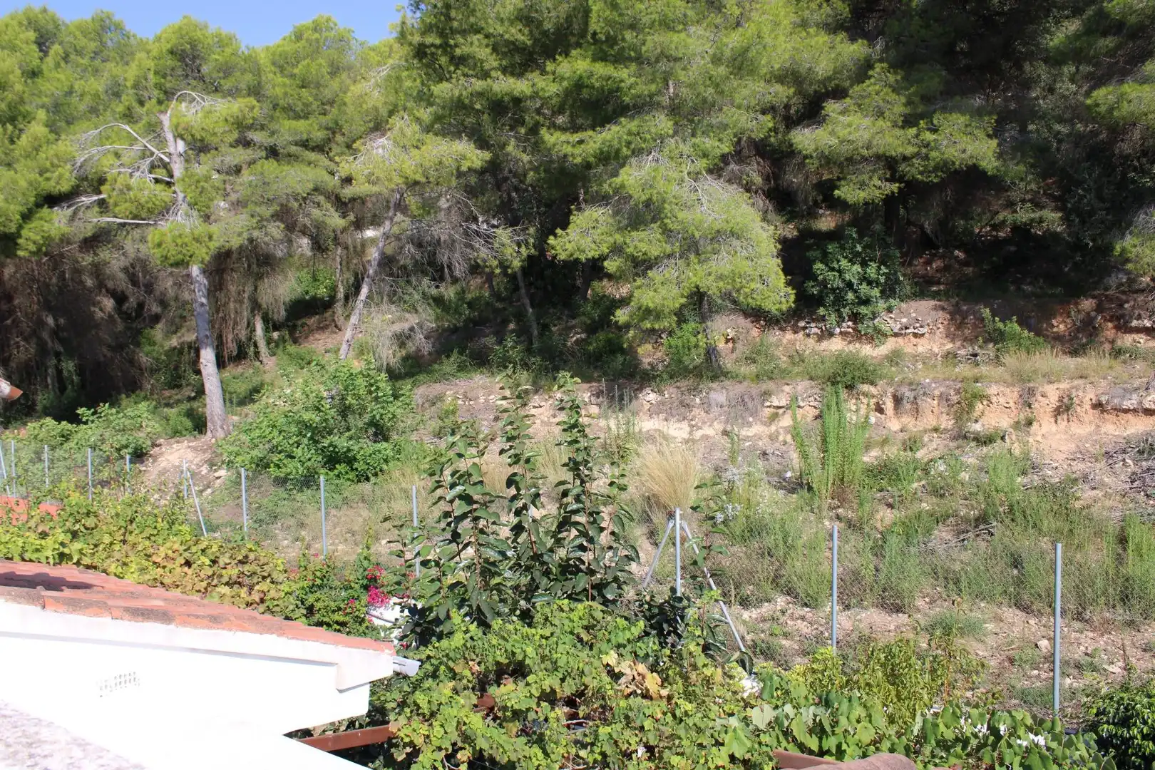 Villa à vendre à Oliva pueblo, imagen 29