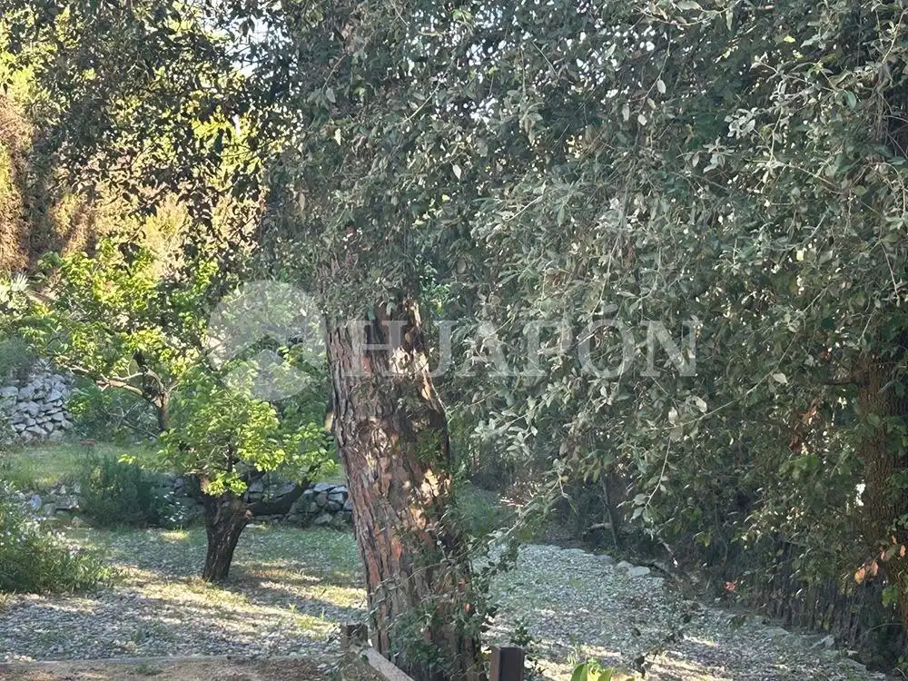 Garden of Houses for sale in Alella, Barcelona