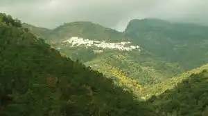 Terreno rustico in vendita a Pruna, imagen 5