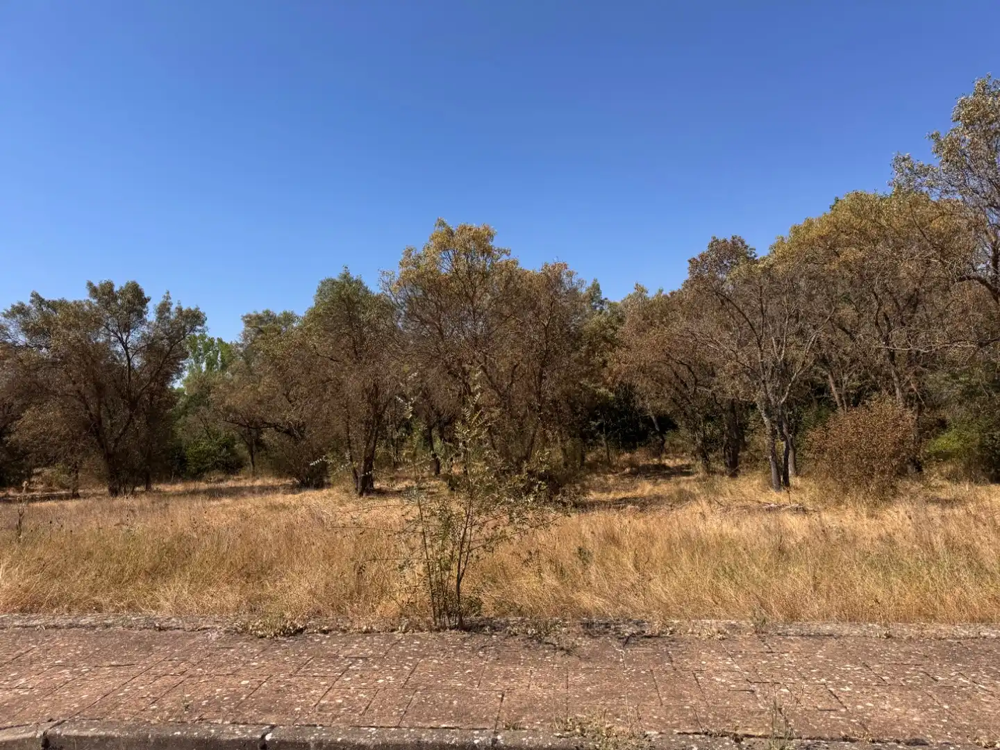 Residencial en venta en Almarza