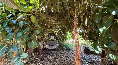 Photo 4 of Country house for sale in San Antonio, Buenavista del Norte, Santa Cruz de Tenerife