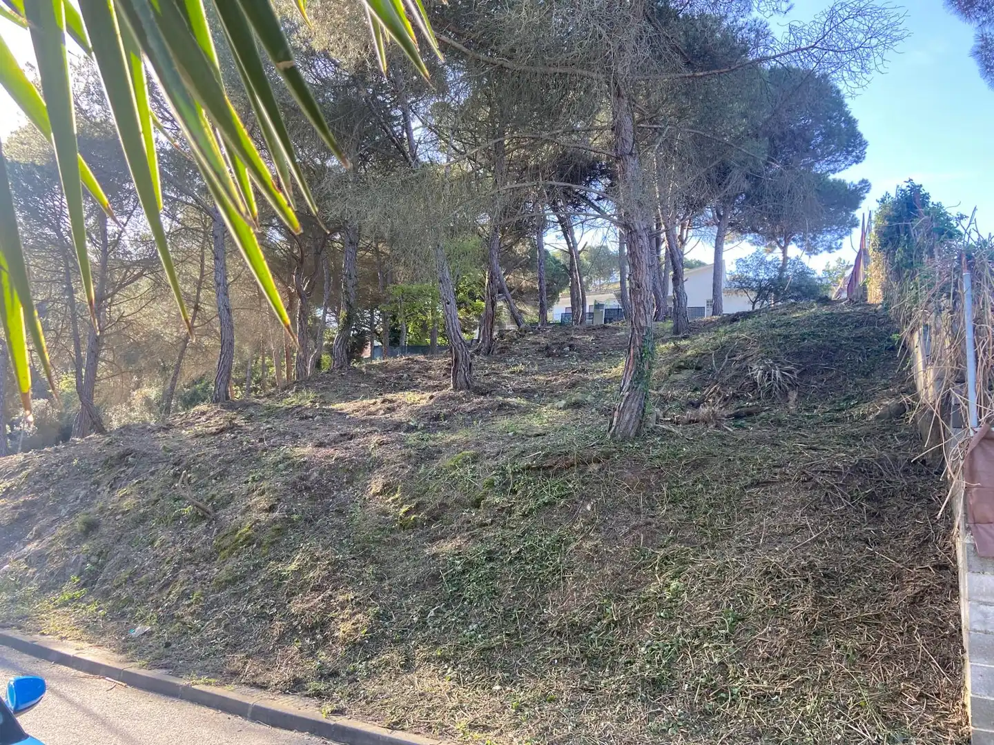 Terreno residencial en venta en del Dotze de Febrer, imagen 3