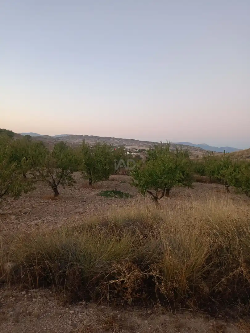 Country homes for sale in Lorca