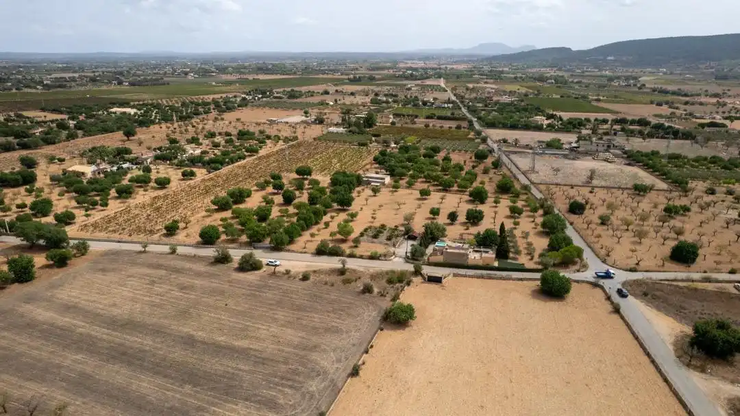 Land for sale in Consell