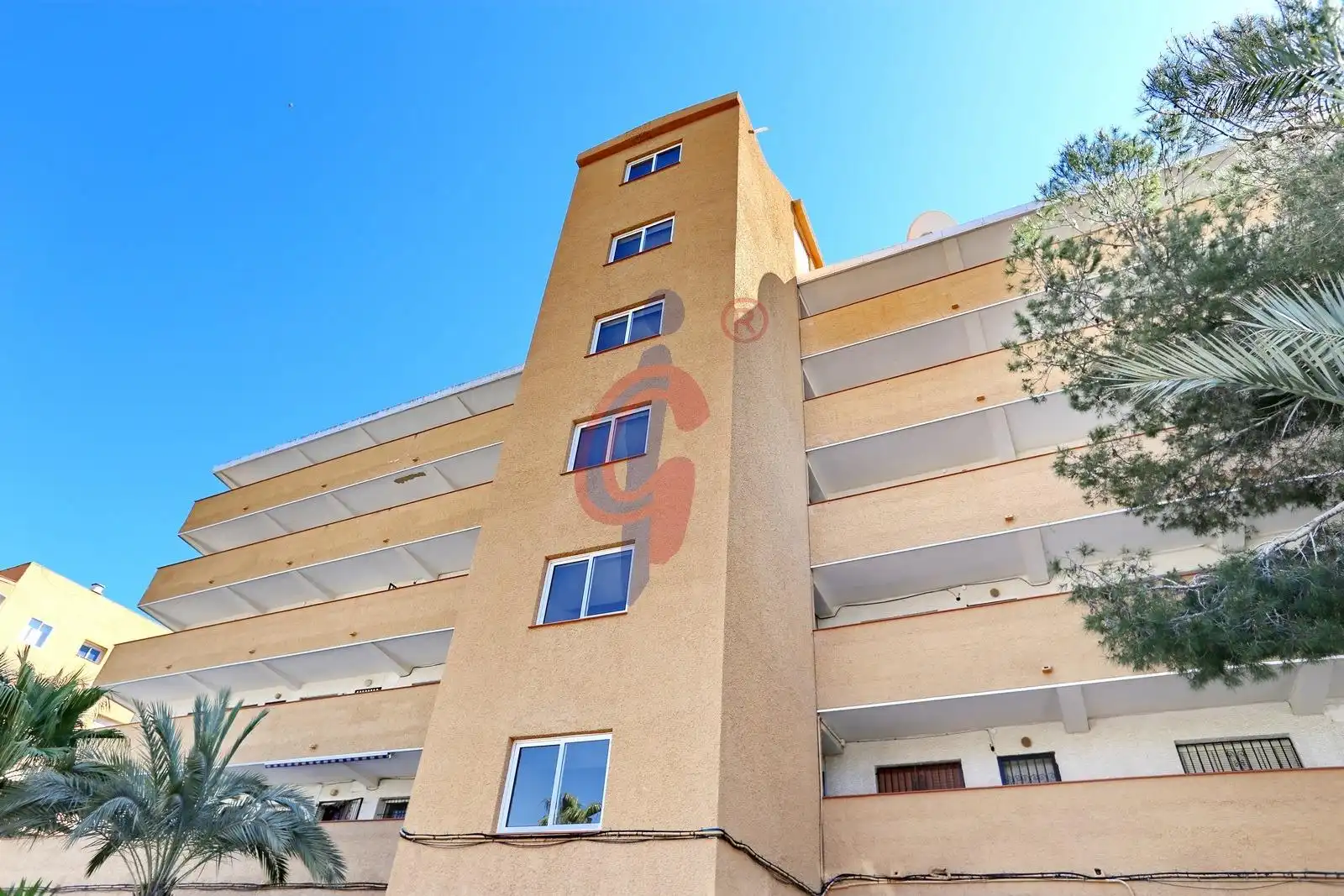 Exterior view of Flat for sale in Guardamar del Segura  with Furnished