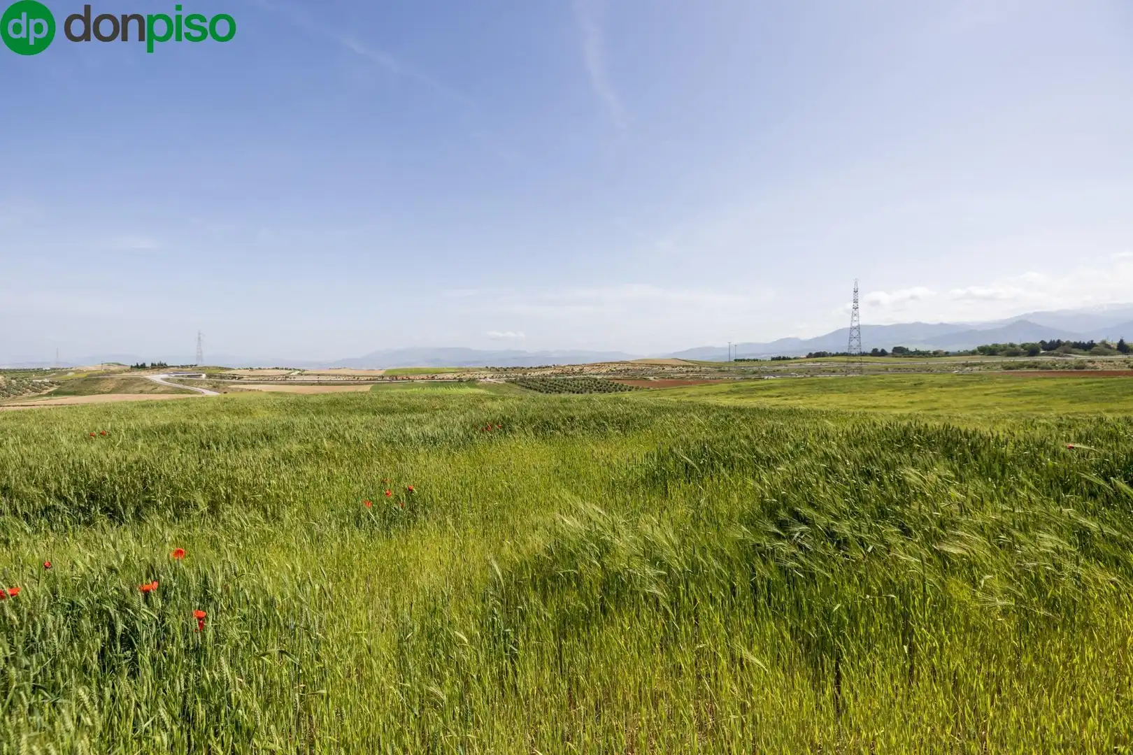 Lands and plots for sale in Otura 6, imagen 17