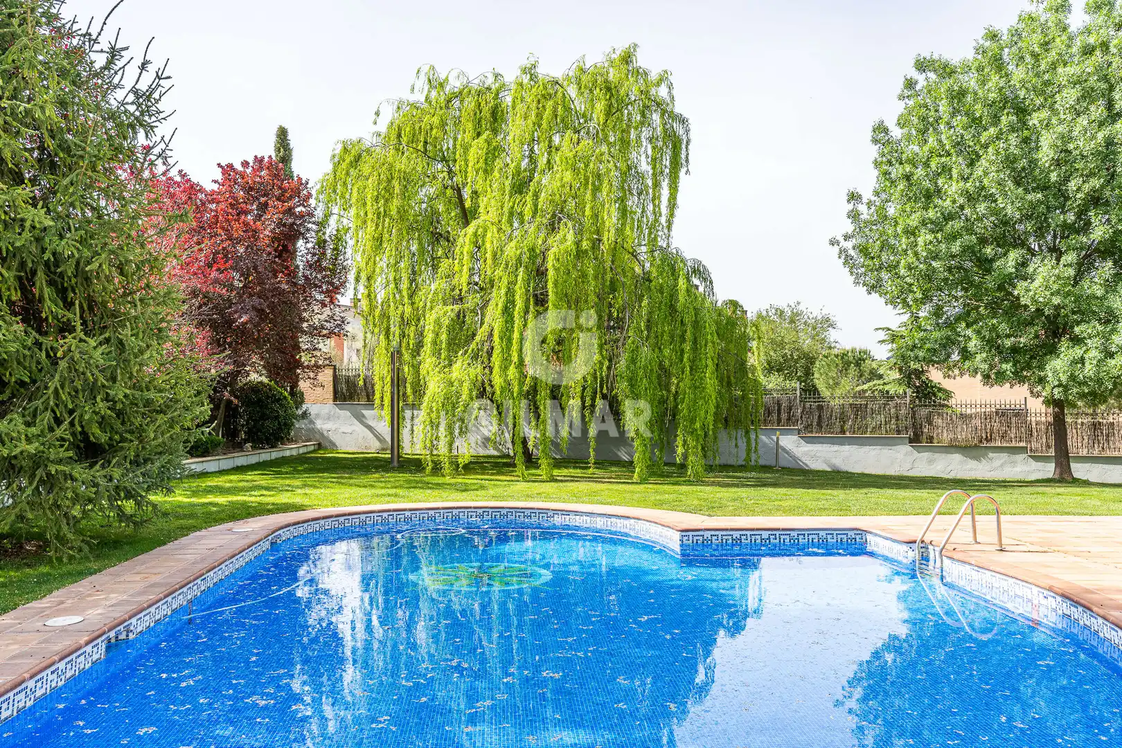 Casa o xalet en venda a Las Lomas