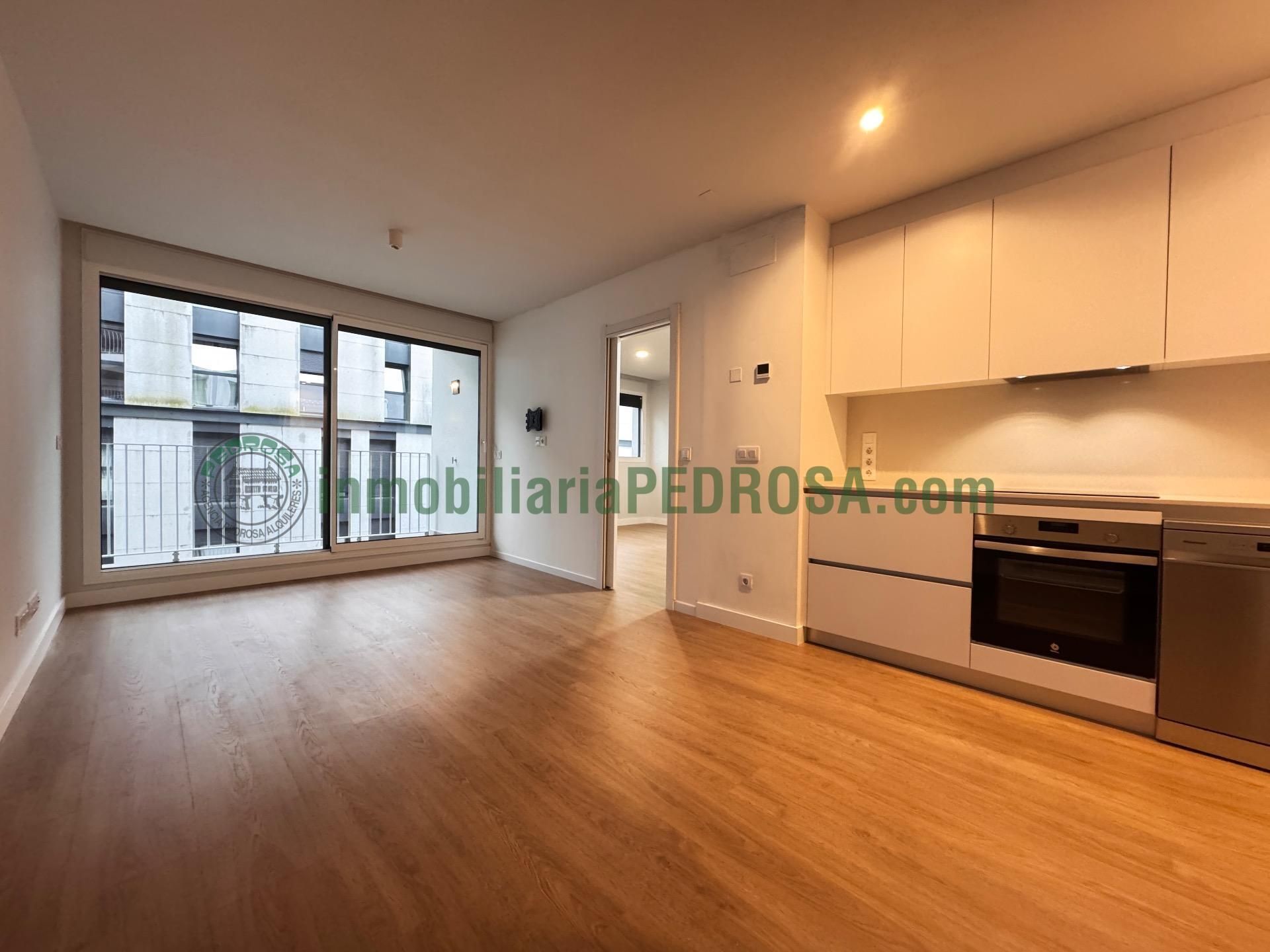 Vista exterior de Loft de lloguer en Pontevedra Capital  amb Calefacció i Traster