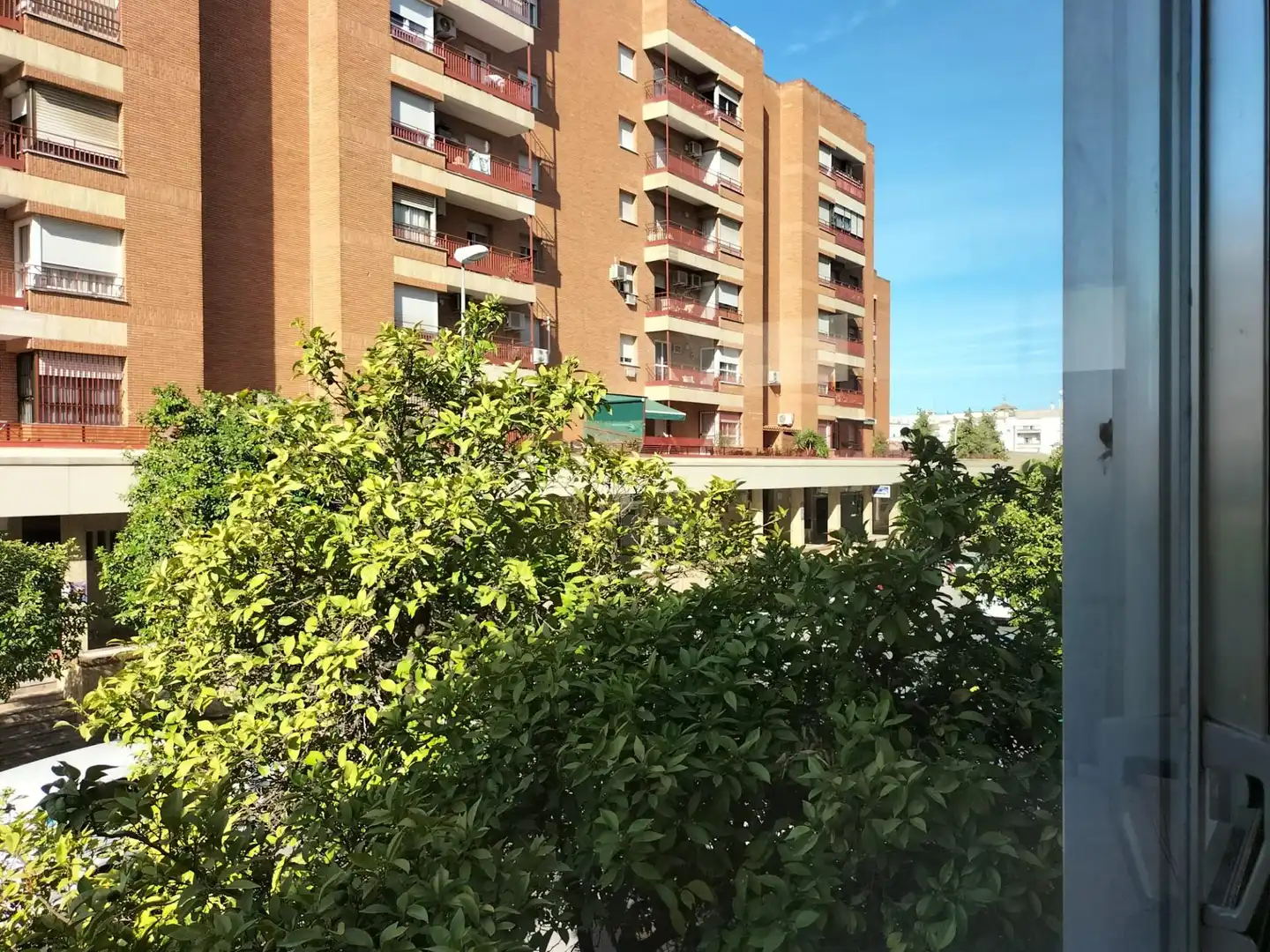Gewerbefläche zum Verkauf in Madre de Dios - Vallesequillo, imagen 24