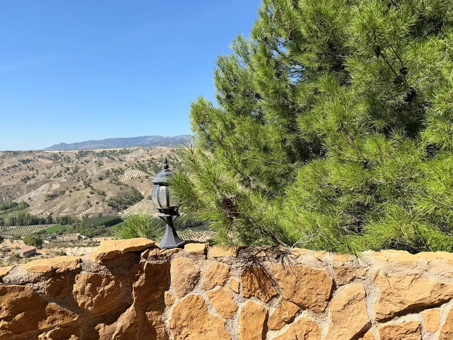 House with terrace for sale in Carretera Cortijo Sartenes  Poligono, imagen 77