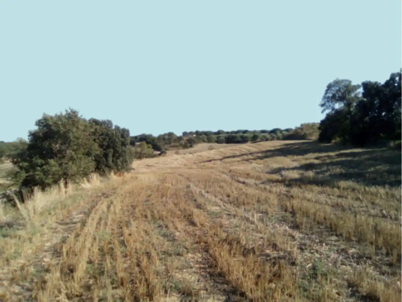 Terreni e lotti in vendita a Poligono 9, imagen 3